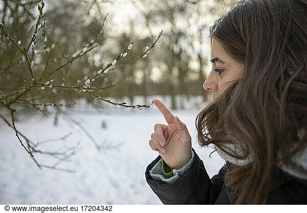 Frau berührt Zweig eines kahlen Baumes im Winter