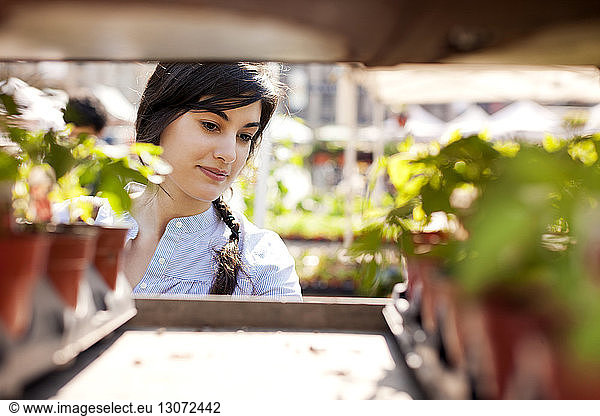 Frau betrachtet Pflanzen am Marktstand
