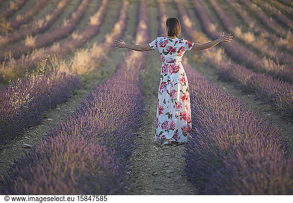 Frau  die das Lavendelfeld beobachtet
