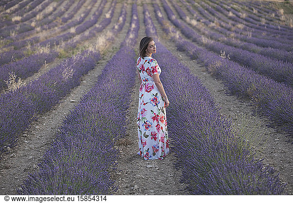 Frau  die das Lavendelfeld beobachtet