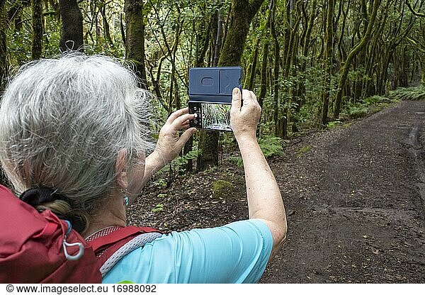 Frau fotografiert mit Handy auf Waldweg im Lorbeerwald  Nationalpark Garajonay  La Gomera  Kanaren  Spanien  Europa