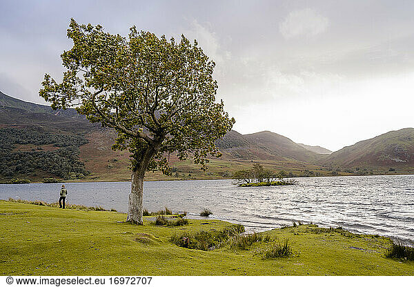 Frau geht am Ufer des Crummock Water Lake entlang