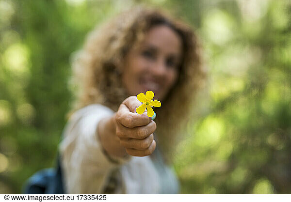 Frau hält gelbe Wildblume im Urlaub