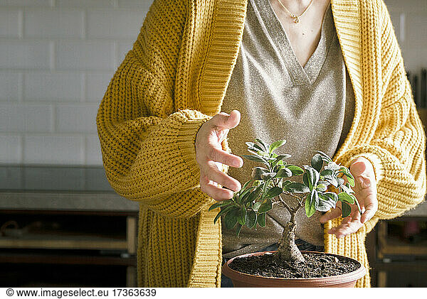 Frau im gelben Pullover mit Topfpflanze zu Hause
