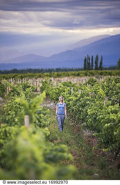 Frau in den Weinbergen von Bodega La Azul  einem Weingut im Uco-Tal (Valle de Uco)  einer Weinregion in der Provinz Mendoza  Argentinien