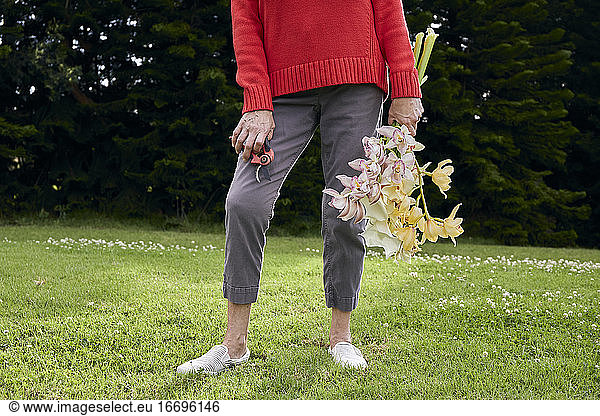 Frau in rotem Pullover mit frischen Schnittblumen