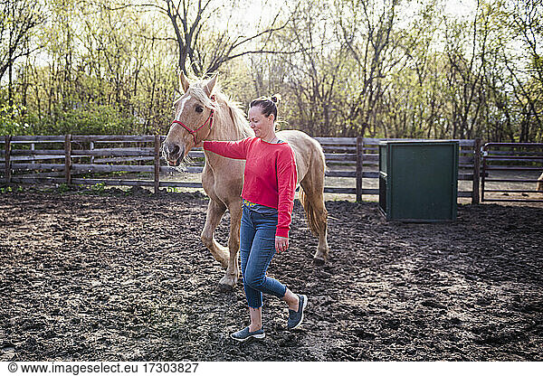 Frau in rotem Sweatshirt führt ein Palomino-Pferd.