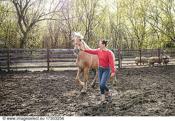 Frau in rotem Sweatshirt führt ein Palomino-Pferd durch einen Bauernhof.
