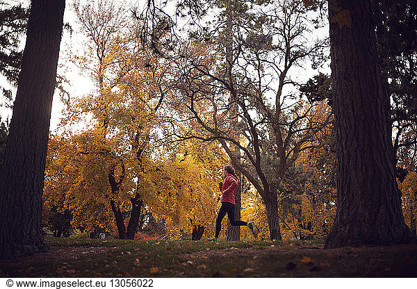 Frau joggt im Herbst im Park an Bäumen vorbei