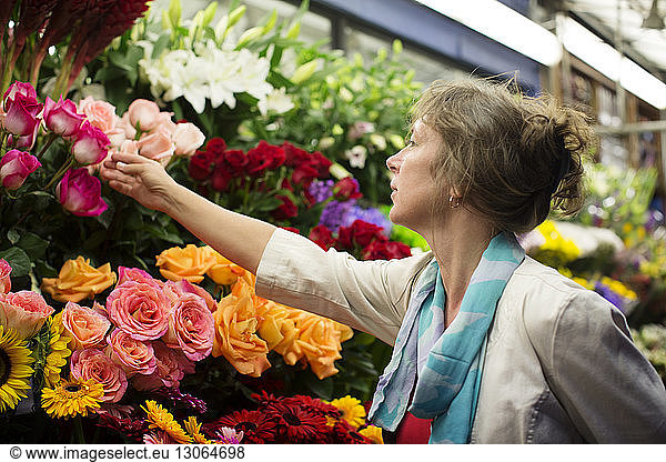 Frau kontrolliert Blumen am Marktstand