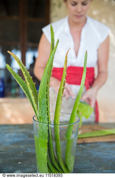 Frau kratzt Flüssigkeit vom Aloe-Blatt in Werkstatt für handgemachte Seife