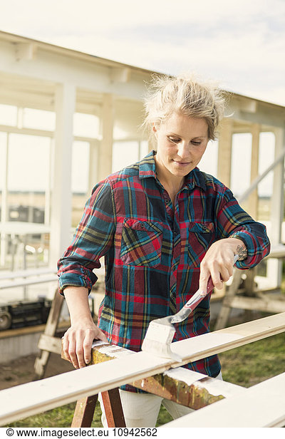 Frau malt Holzbohle auf dem Bauernhof