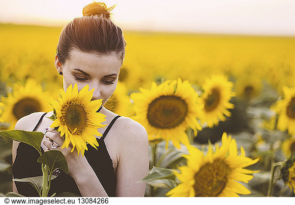 Frau mit Sonnenblumen auf dem Bauernhof