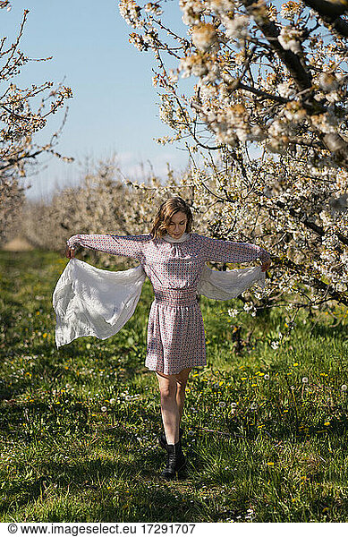 Frau mit Spiel mit Schal unter Kirschbäumen
