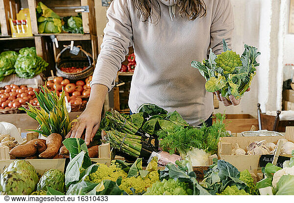 Frau pflückt frisches  gesundes Gemüse im Laden