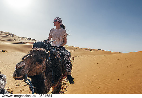 Frau reitet Kamel in sonniger Sandwüste  Sahara  Marokko