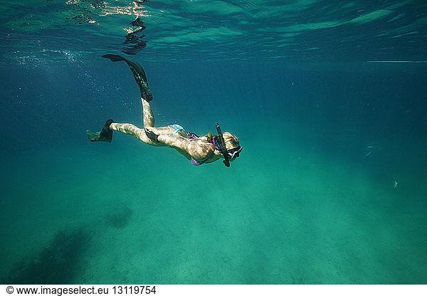 Frau schwimmt und erforscht die Unterwasserwelt