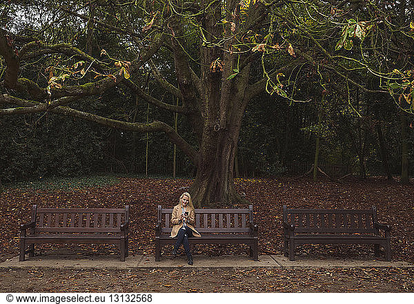 Frau sitzt im Herbst auf Parkbank gegen Baum