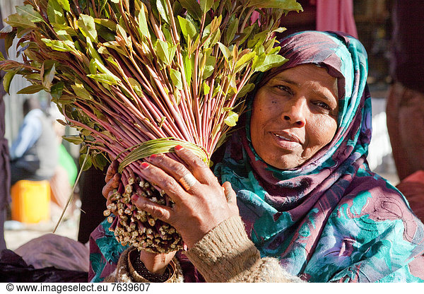 Khat Insgesamt 1109 Bilder Bei Imageselect