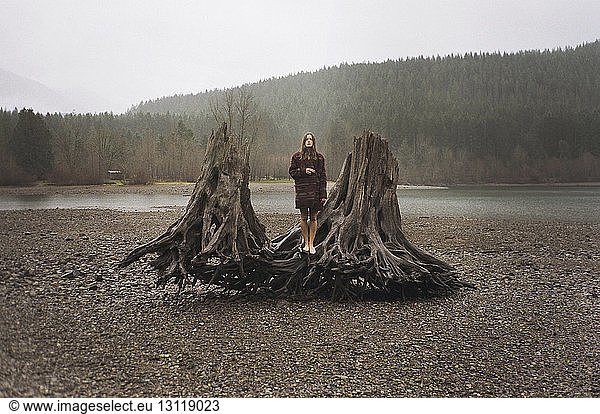 Frau steht am Treibholzufer am Klapperschlangensee