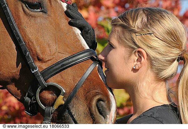 Frau und Deutsches Warmblut  Deutsches Reitpferd  Zaumzeug