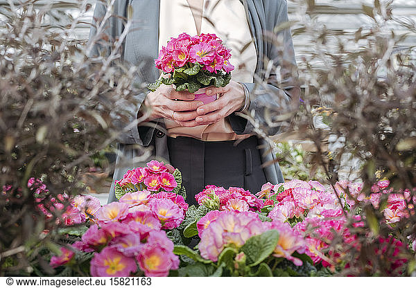 Frauenhände mit rosa Blumentopf
