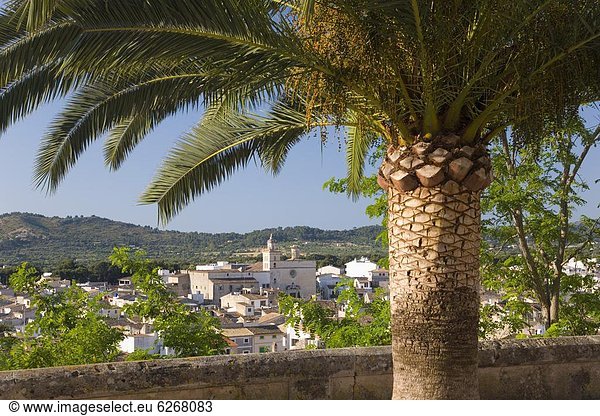 Frauenkloster  Europa  Kirche  Ansicht  Mallorca  Terrasse  Balearen  Balearische Inseln  Padua  Spanien
