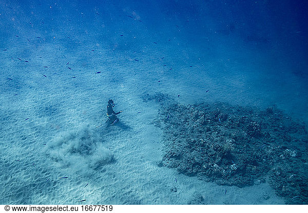 Free diver sits on ocean floor in clear waters of Hawaii