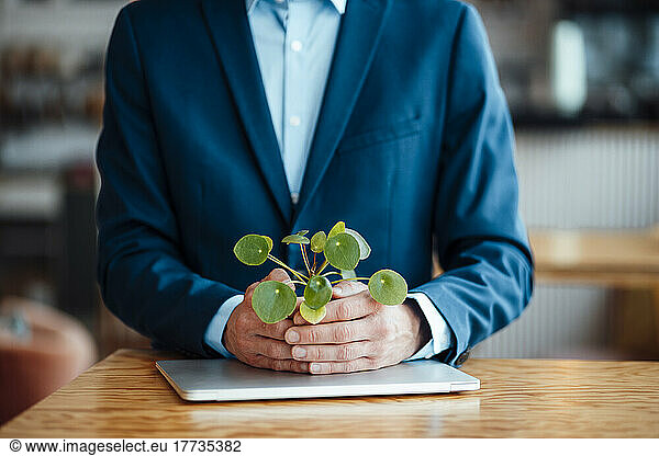 Freelancer holding plant over laptop at table in cafe