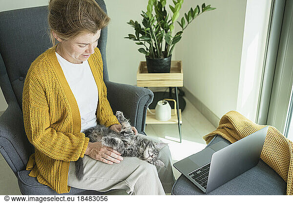Freelancer petting cat in armchair by laptop at home office
