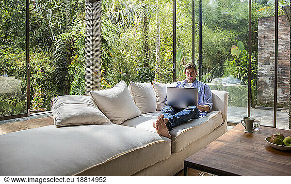 Freelancer sitting on sofa and using laptop at home