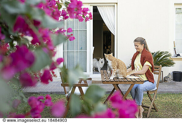 Freelancer sitting with cat on table in garden