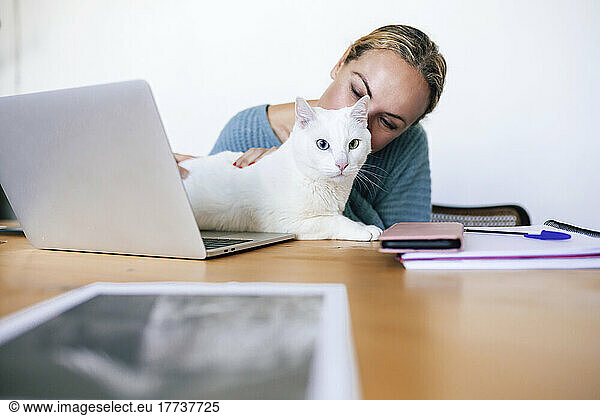 Freelancer sitting with laptop and pet cat at table