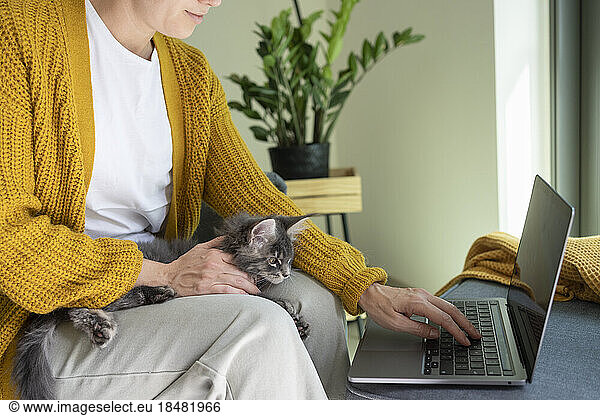 Freelancer using laptop sitting with cat at home office