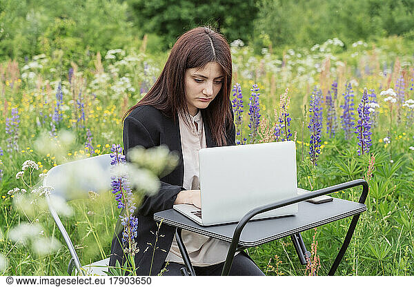 Freelancer working on laptop in meadow