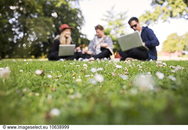 Freelancers using laptop while sitting at park