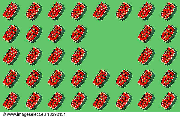 Fresh and red organic cherry tomatoes in boxes over green background