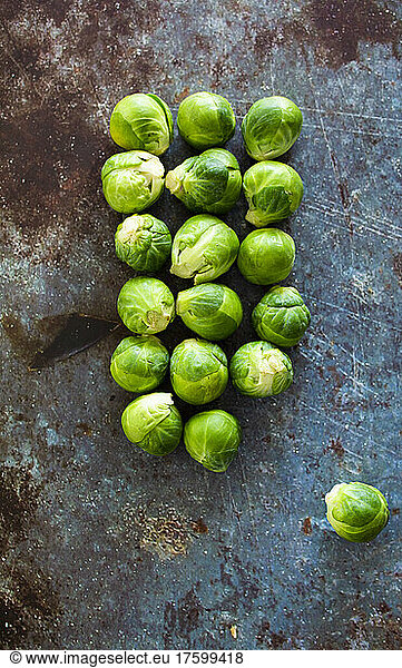 Fresh Brussels sprouts arranged into rectangle
