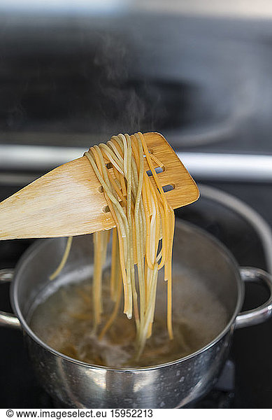 Fresh  cooked pasta on a spatula  close up