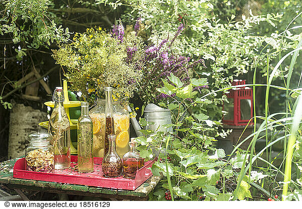 Fresh glass bottles of oil and vinegar at table amidst plants in garden