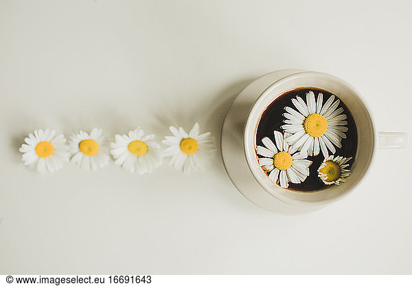 fresh morning coffee with daisies