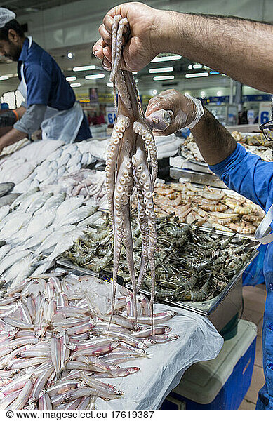 Fresh octopus held on display by a vendor in the Seafood Market in Abu Dhabi  UAE; Abu Dhabi  United Arab Emirates