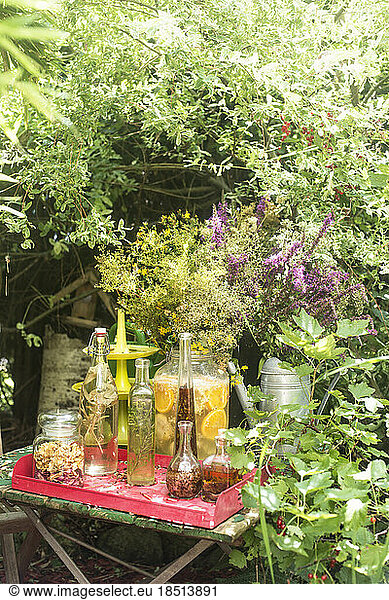 Fresh oils and vinegar in glass bottles on tray at table