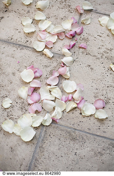 Fresh organic confetti  natural pink dried rose petals on the ground. Traditional wedding custom.