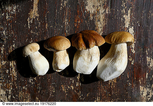 Fresh organic mushrooms on table