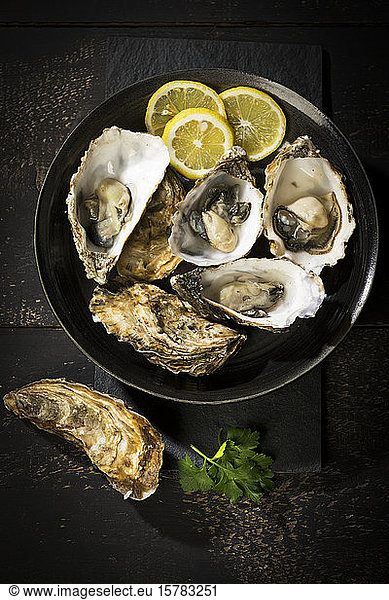 Fresh oysters and lemon