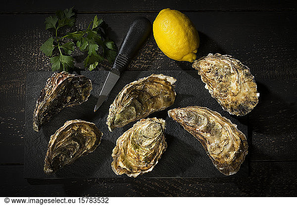 Fresh oysters and lemon