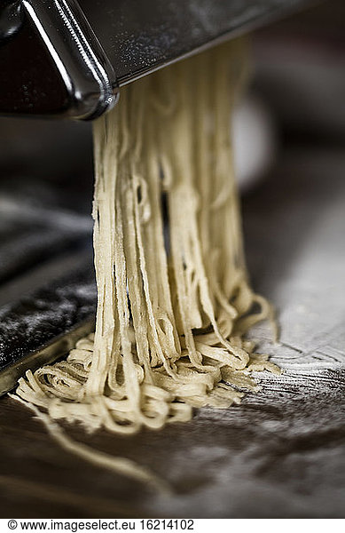 Fresh pasta coming out of machine  close up