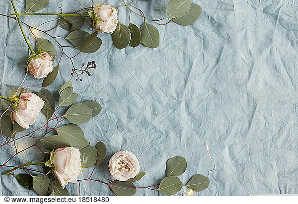 Fresh pink roses flowers and eucalyptus leaves decoration with string light on blue fabric