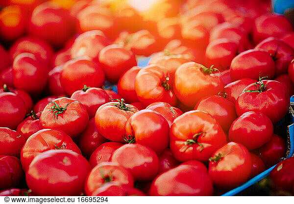 Fresh tomatoes at Farmers' market
